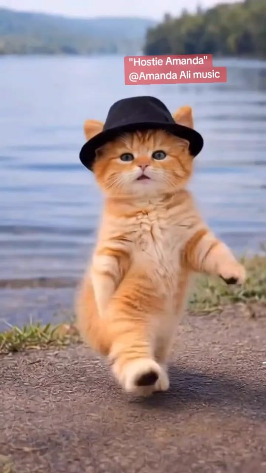 TikTok video thumbnail by amandaali500