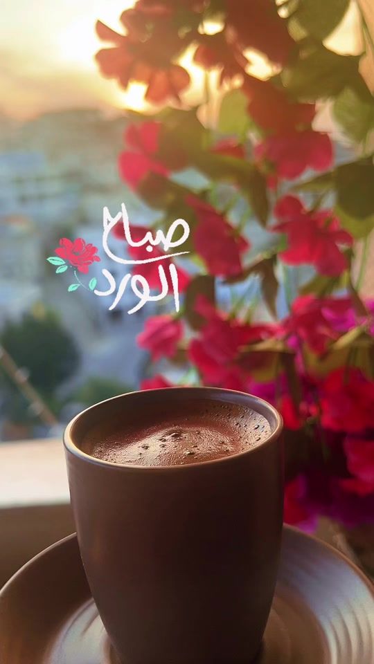 TikTok video thumbnail by haemaahabeballah