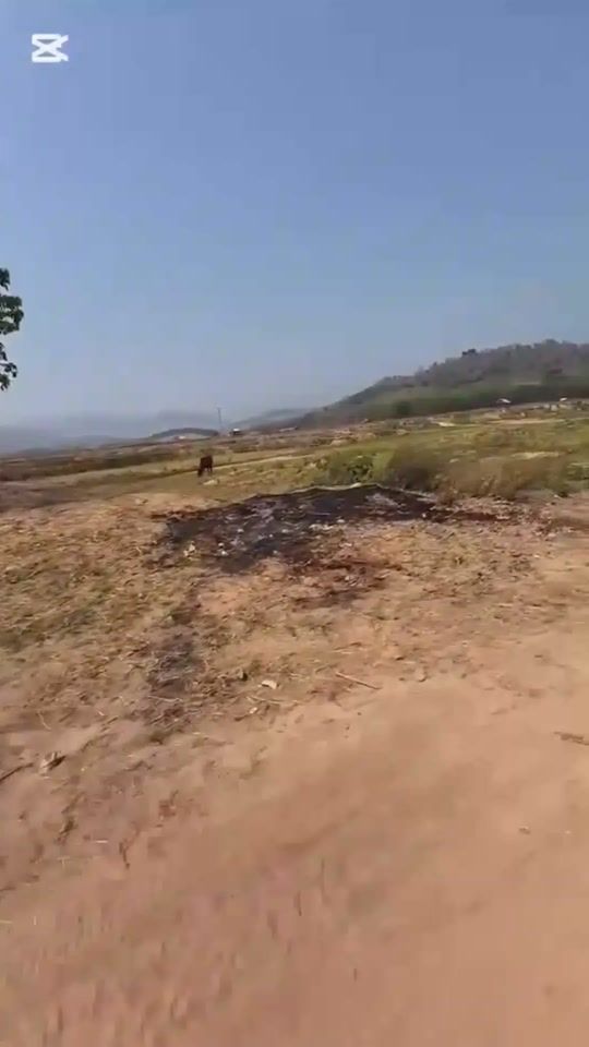 TikTok video thumbnail by user52661409540862