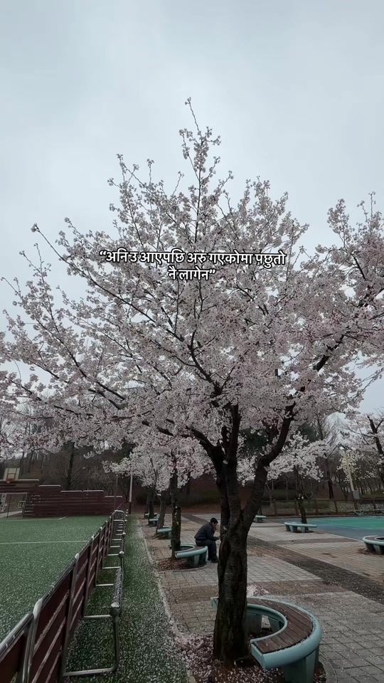 TikTok video thumbnail by its_me_suwas