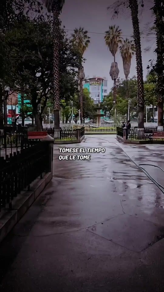 TikTok video thumbnail by temachchicco