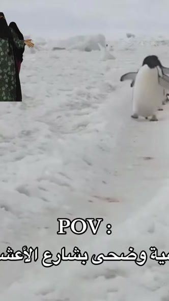 TikTok video thumbnail by bobdair1985