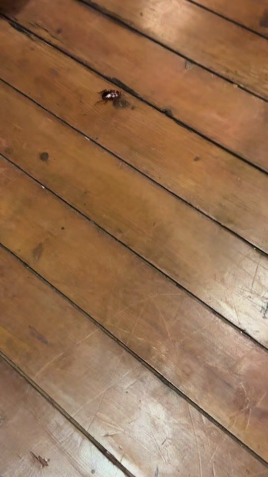 TikTok video thumbnail by guyzu_aretz