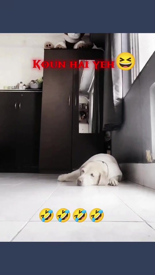 TikTok video thumbnail by _magaryam