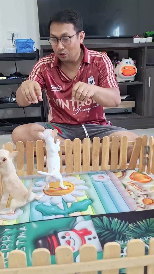 TikTok video thumbnail by rernreview