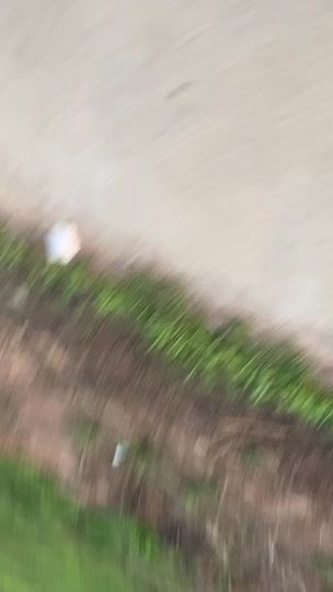 TikTok video thumbnail by acezarni