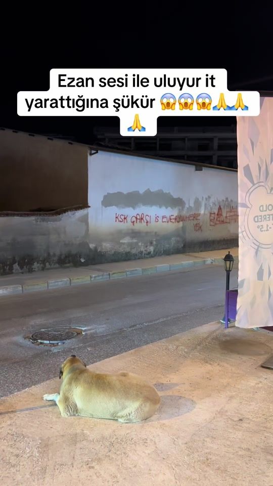TikTok video thumbnail by xl444gn