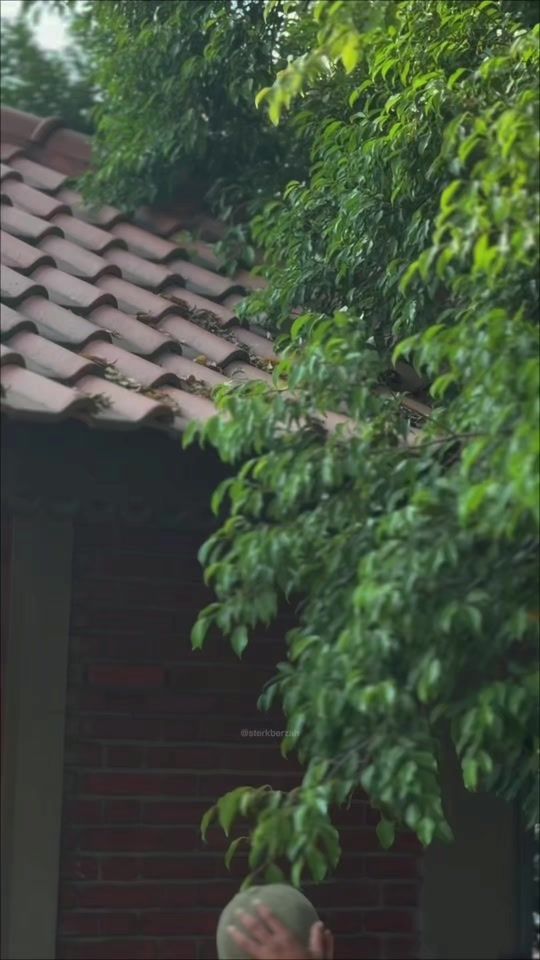 TikTok video thumbnail by m.r_su