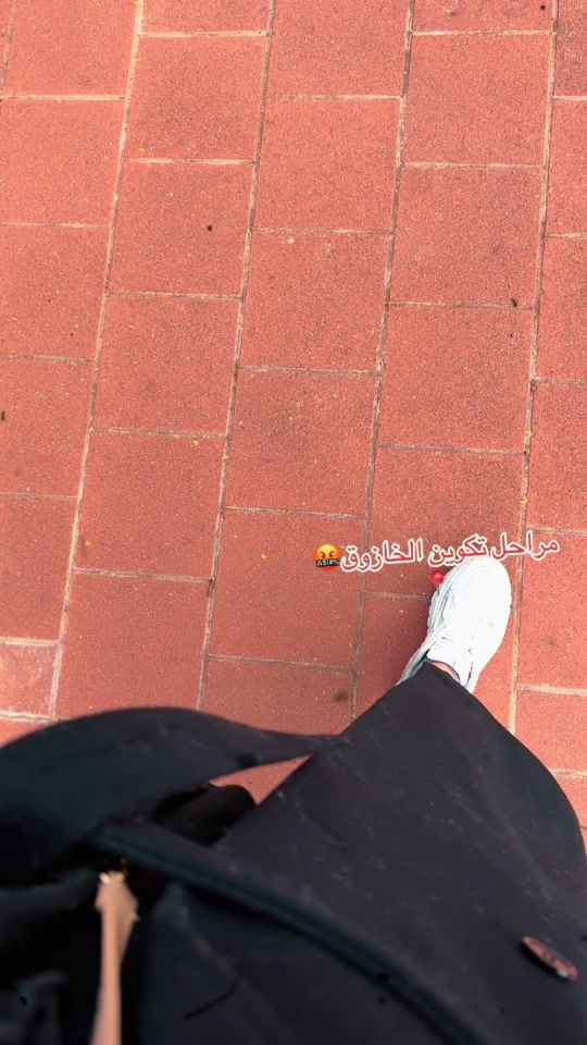 TikTok video thumbnail by rohoof25