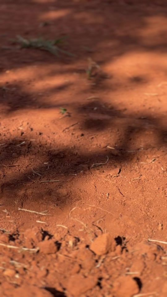 TikTok video thumbnail by mathzn_ddzn