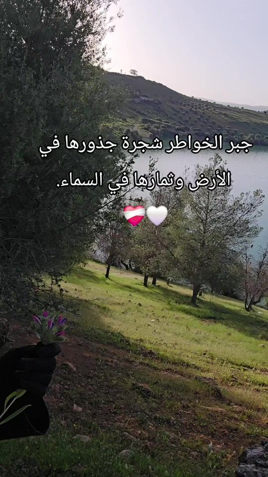 TikTok video thumbnail by haaydi2