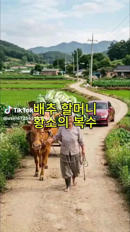TikTok video thumbnail by .tv0581