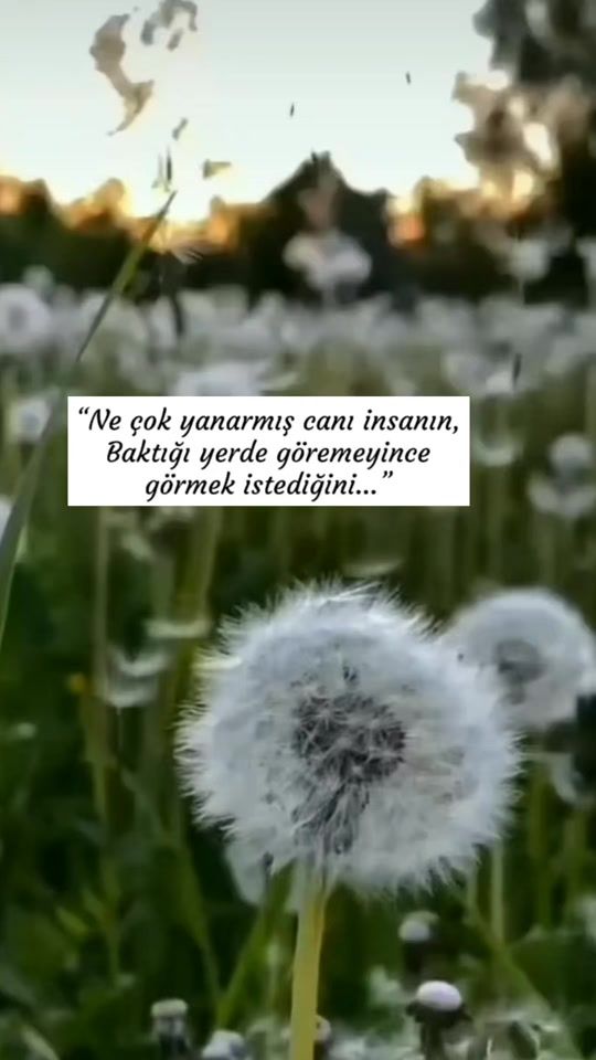 TikTok video thumbnail by gonlu_yorgun_hatunn_16