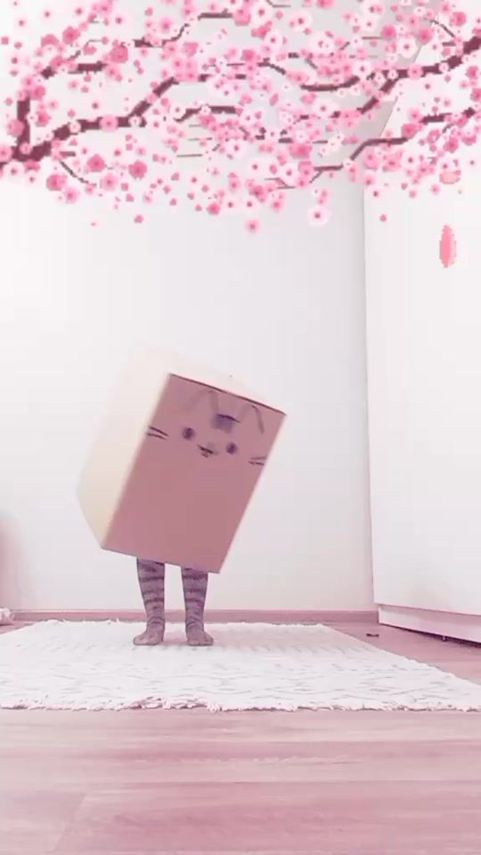 TikTok video thumbnail by .3659120