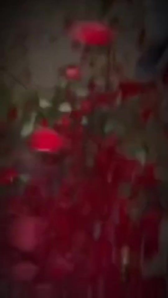 TikTok video thumbnail by shako_977