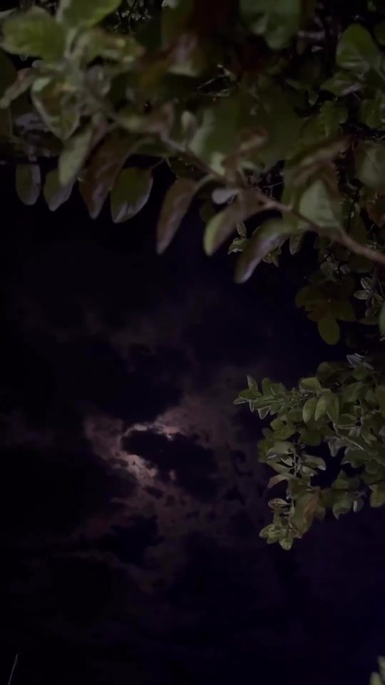 TikTok video thumbnail by yosk0o_19
