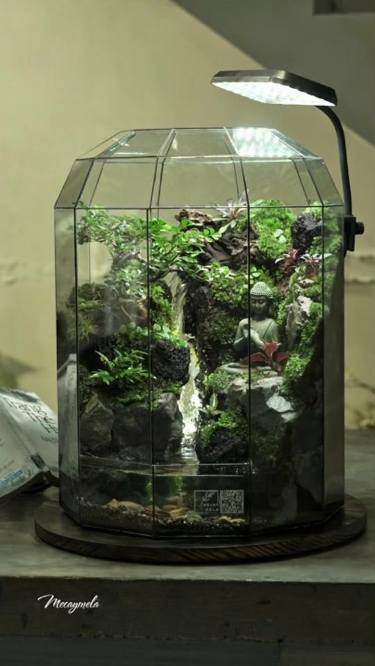 TikTok video thumbnail by mecaymela.greenworld