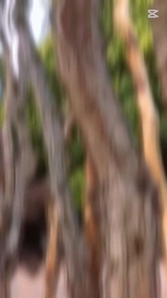 TikTok video thumbnail by cris.jr731
