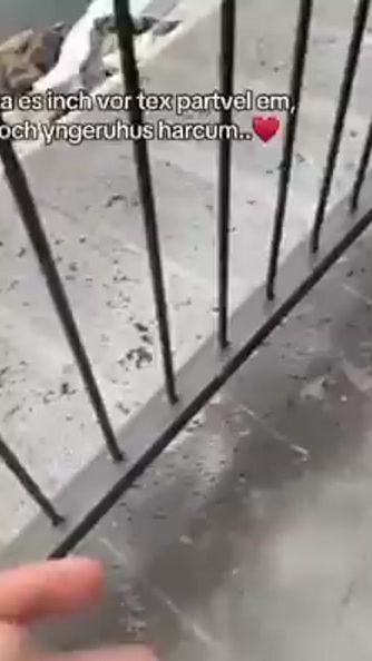 TikTok video thumbnail by gorancyan0
