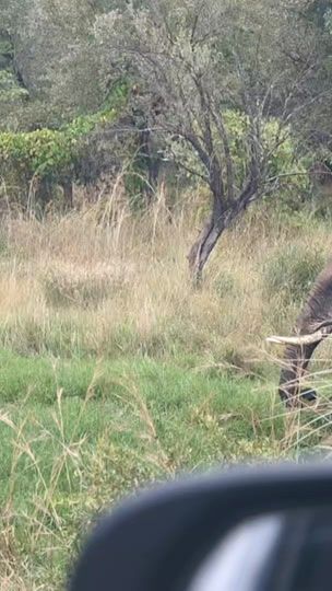 TikTok video thumbnail by victoriafallsguide