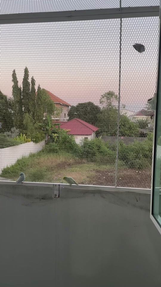 TikTok video thumbnail by bello.gutsguts