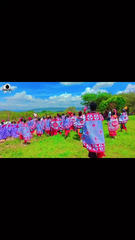 TikTok video thumbnail by msafl120