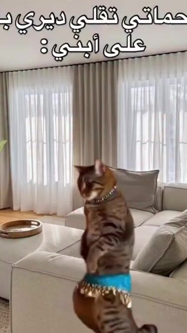 TikTok video thumbnail by 7zc.30