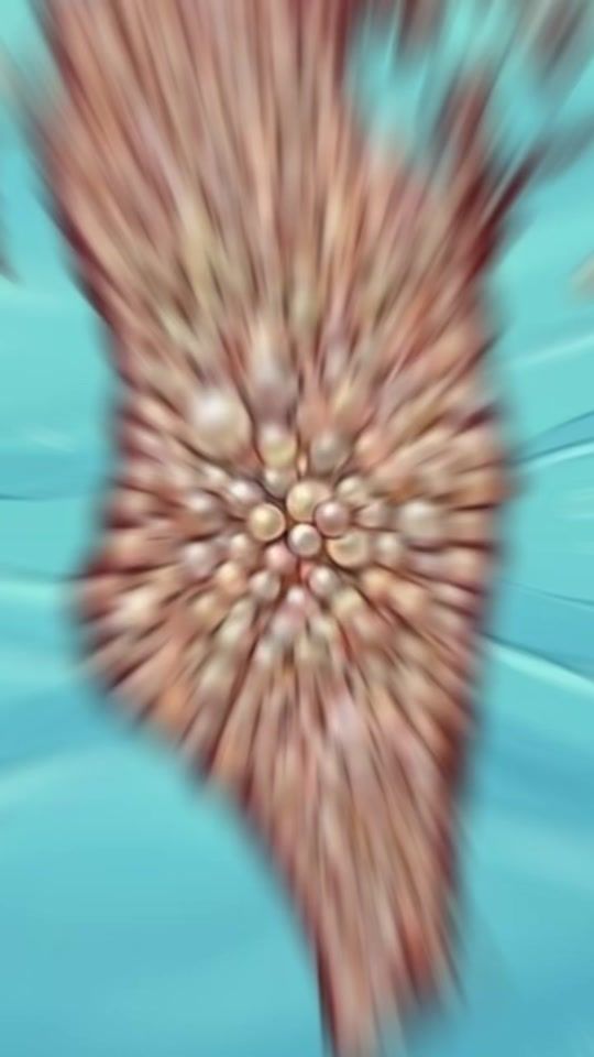 TikTok video thumbnail by shaimalfc