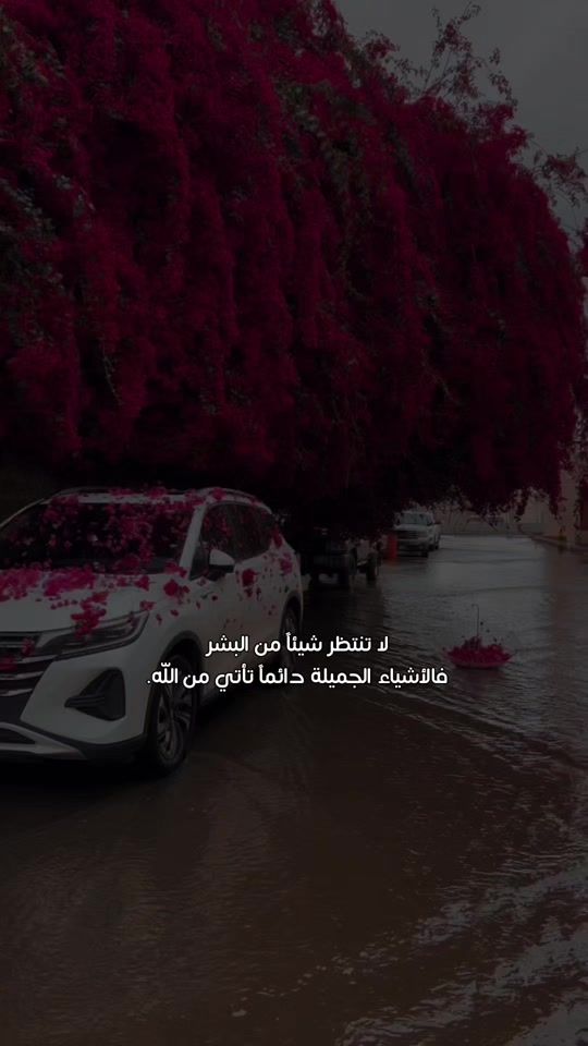 TikTok video thumbnail by diaa1.955