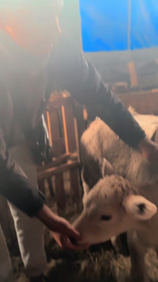 TikTok video thumbnail by chrisjojo.rsa