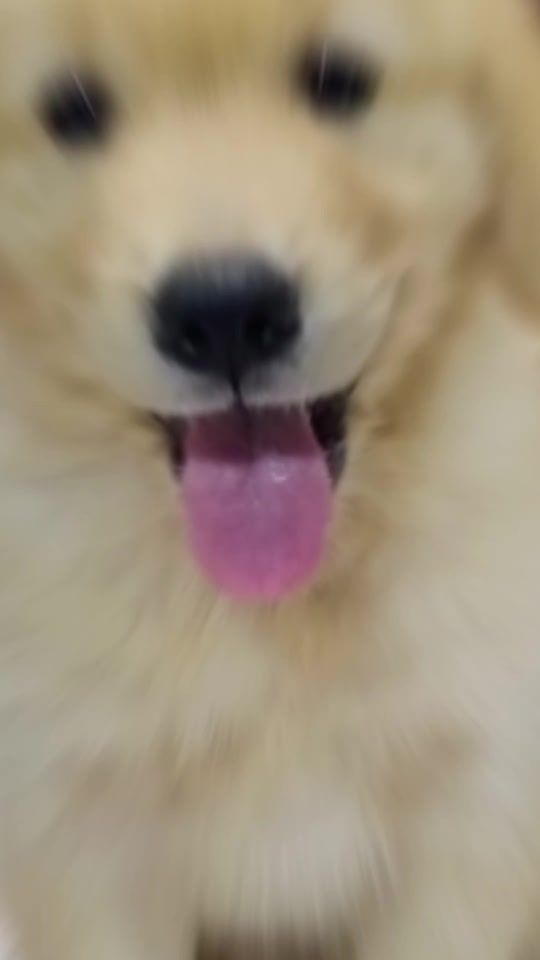 TikTok video thumbnail by xandaosma
