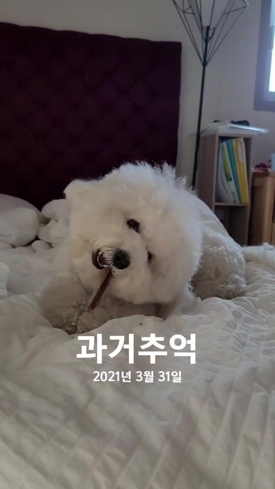 TikTok video thumbnail by nnnhh1
