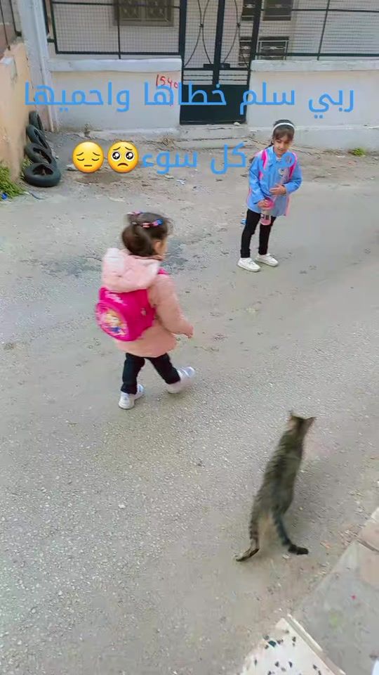 TikTok video thumbnail by dewyperfume2