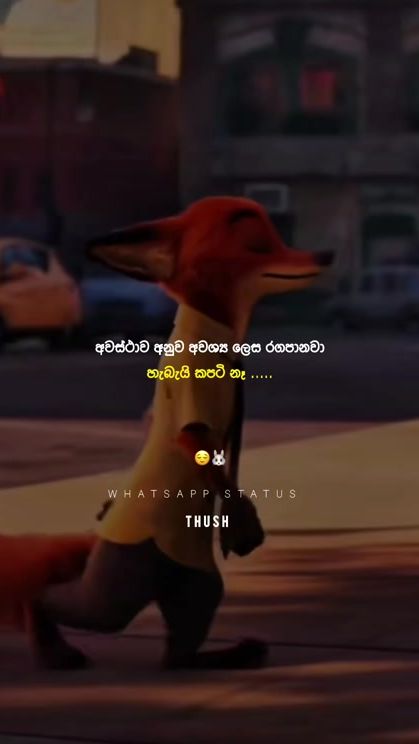 TikTok video thumbnail by thush14_