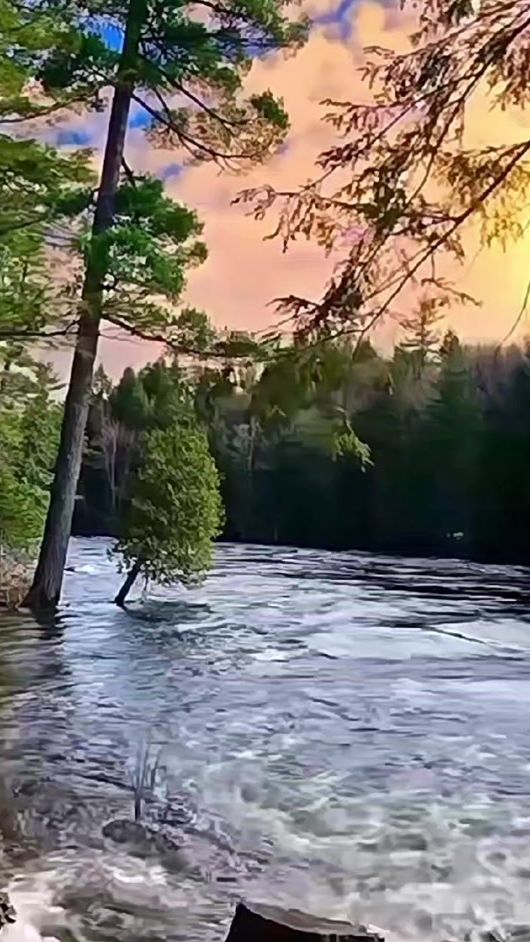 TikTok video thumbnail by hr90412