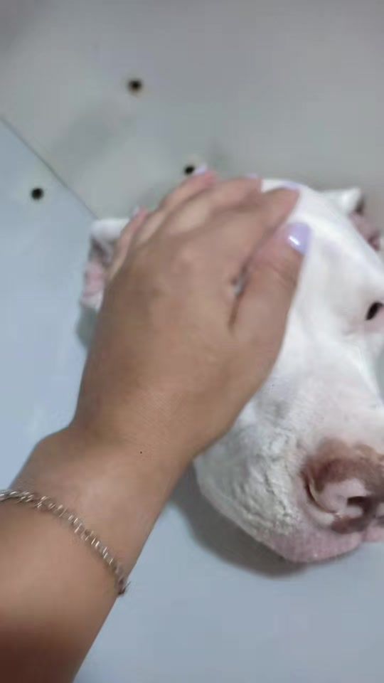 TikTok video thumbnail by brucebezerra1