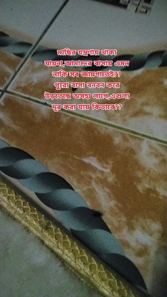 TikTok video thumbnail by nuhaa906