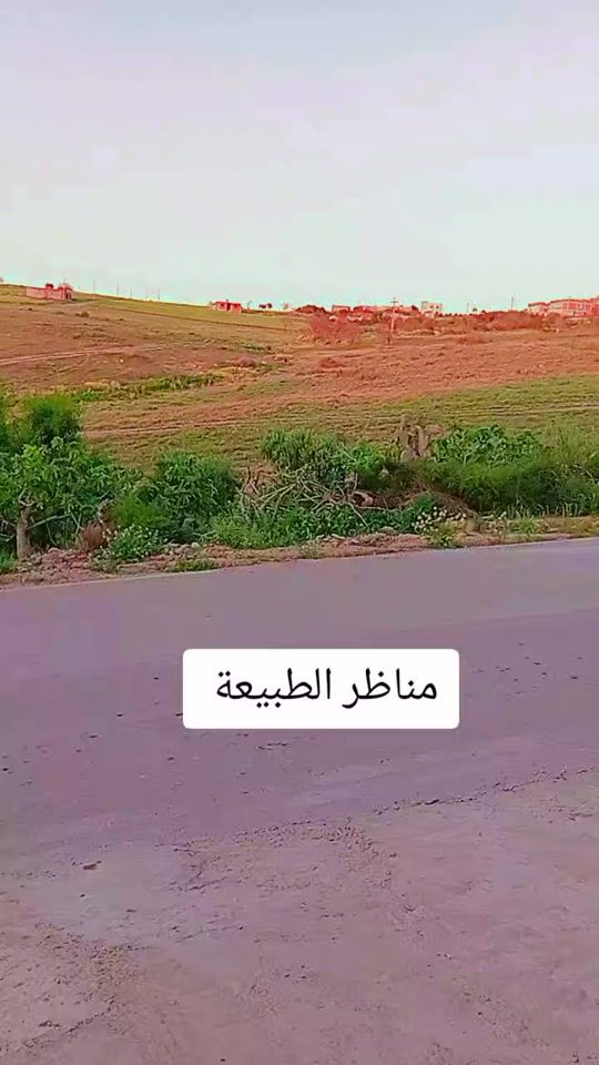 TikTok video thumbnail by renalut25