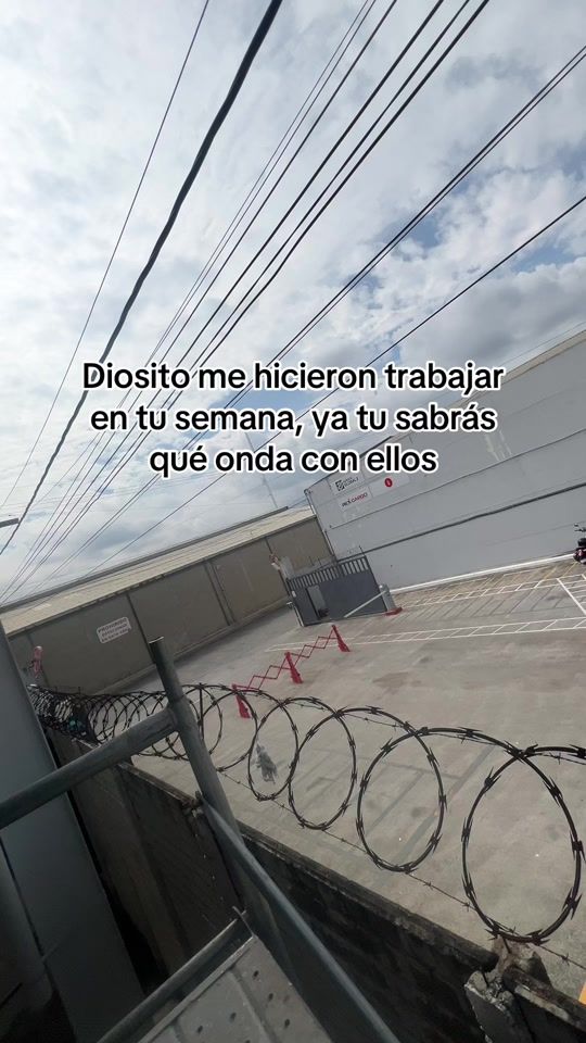 TikTok video thumbnail by andrewmontejo