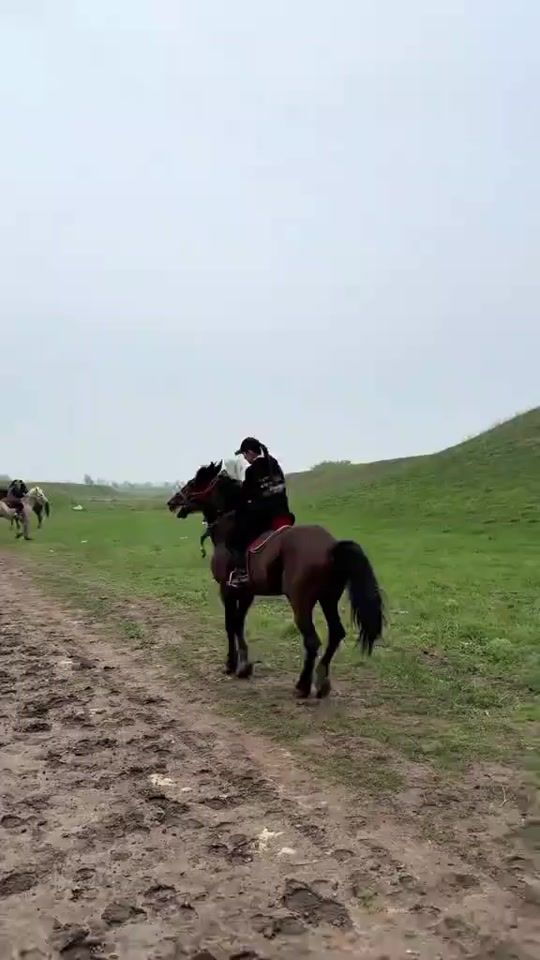 TikTok video thumbnail by user55619768409673