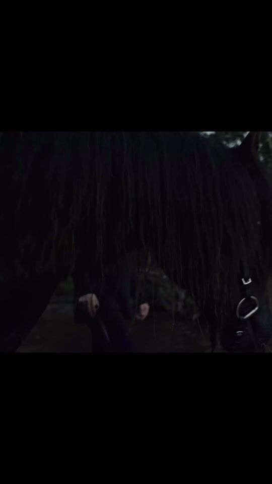 TikTok video thumbnail by wardrunafamily