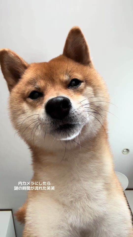 TikTok video thumbnail by yucayuca12