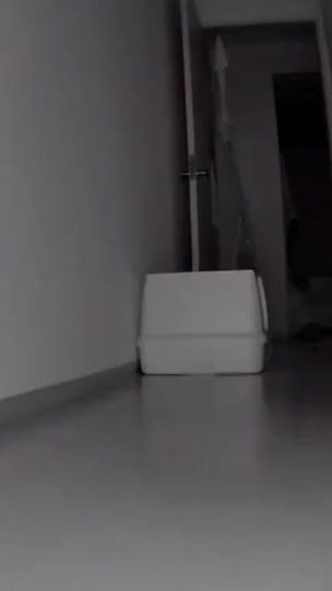 TikTok video thumbnail by _komaru.salt_
