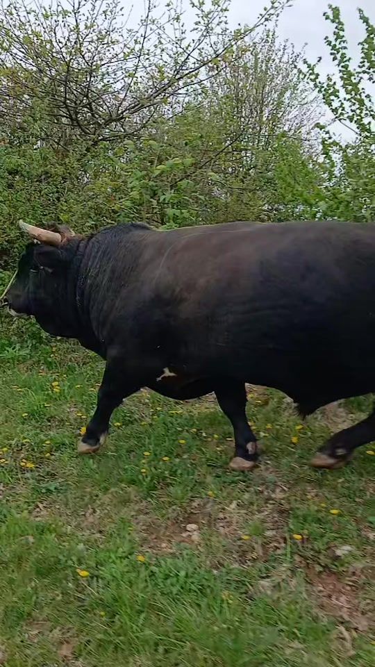 TikTok video thumbnail by alemm.t.2