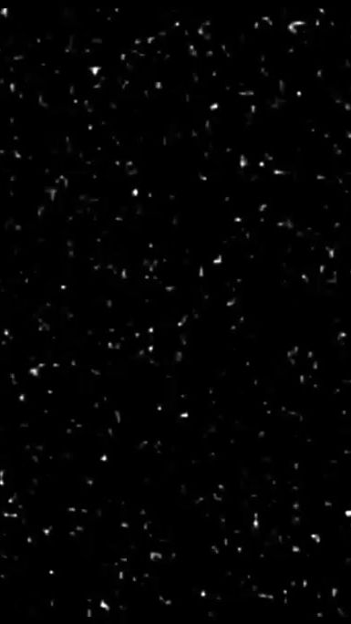 TikTok video thumbnail by lyrics8615