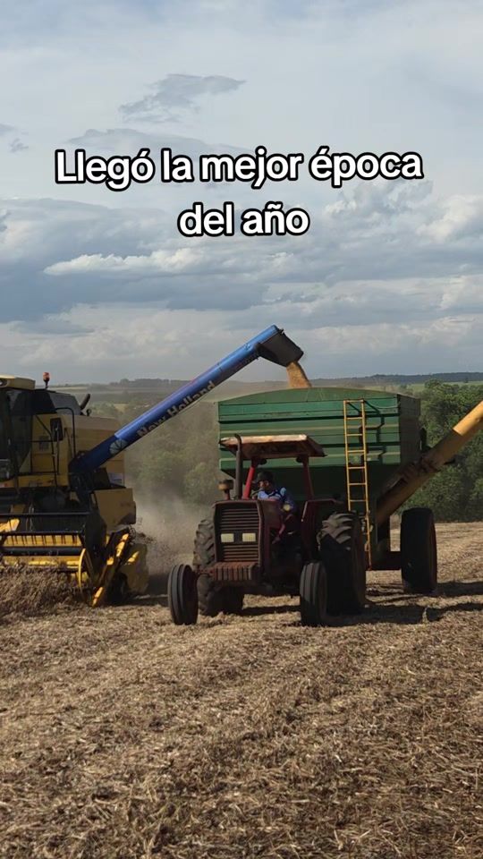 TikTok video thumbnail by wilgaray02