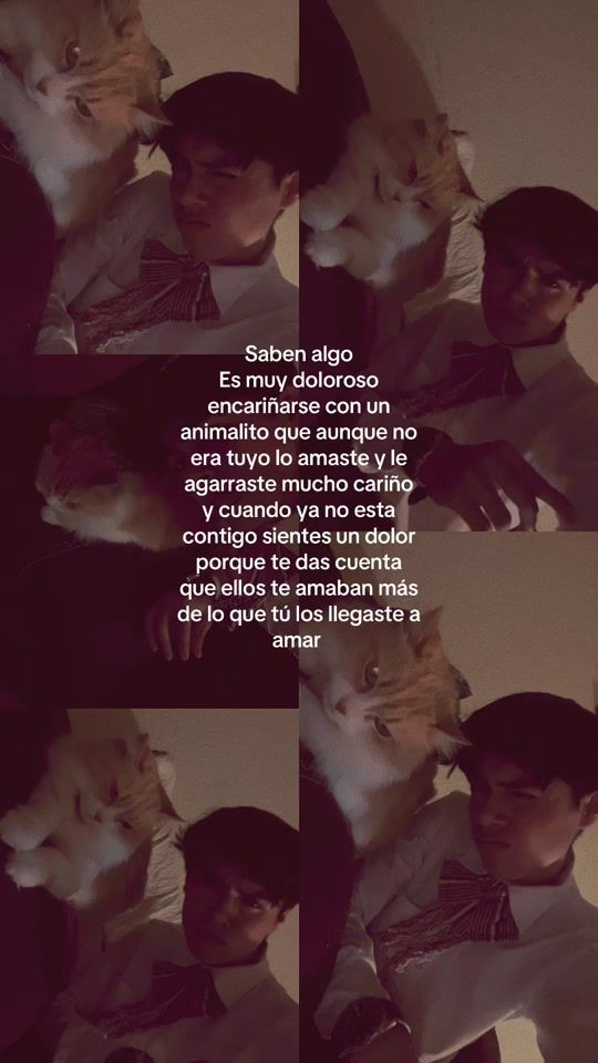 TikTok video thumbnail by danieleslava113