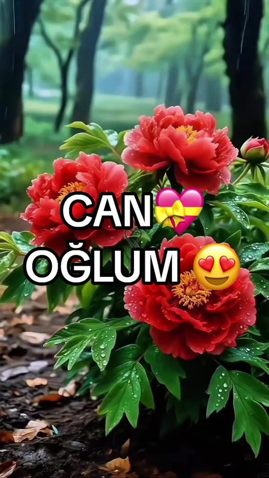 TikTok video thumbnail by ana_ata7