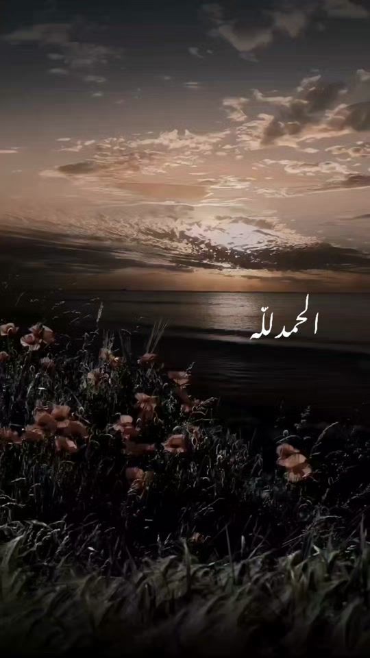TikTok video thumbnail by jorifaisal635