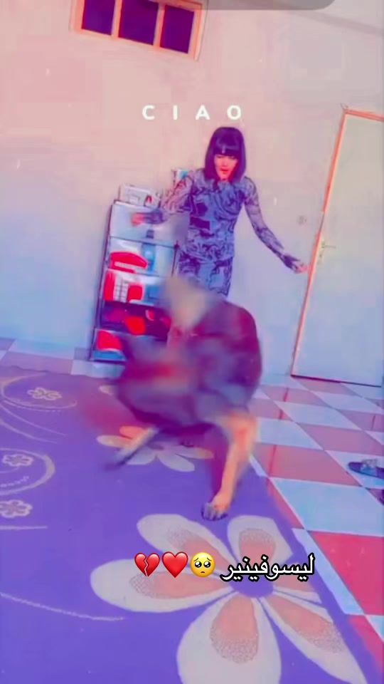 TikTok video thumbnail by _ranoch_tcharli_